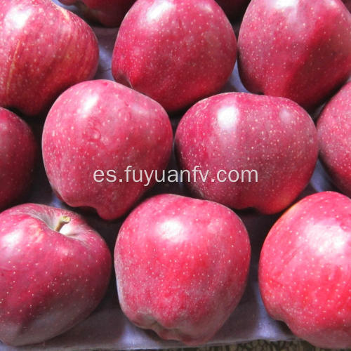 Manzana dulce roja deliciosa Huaniu